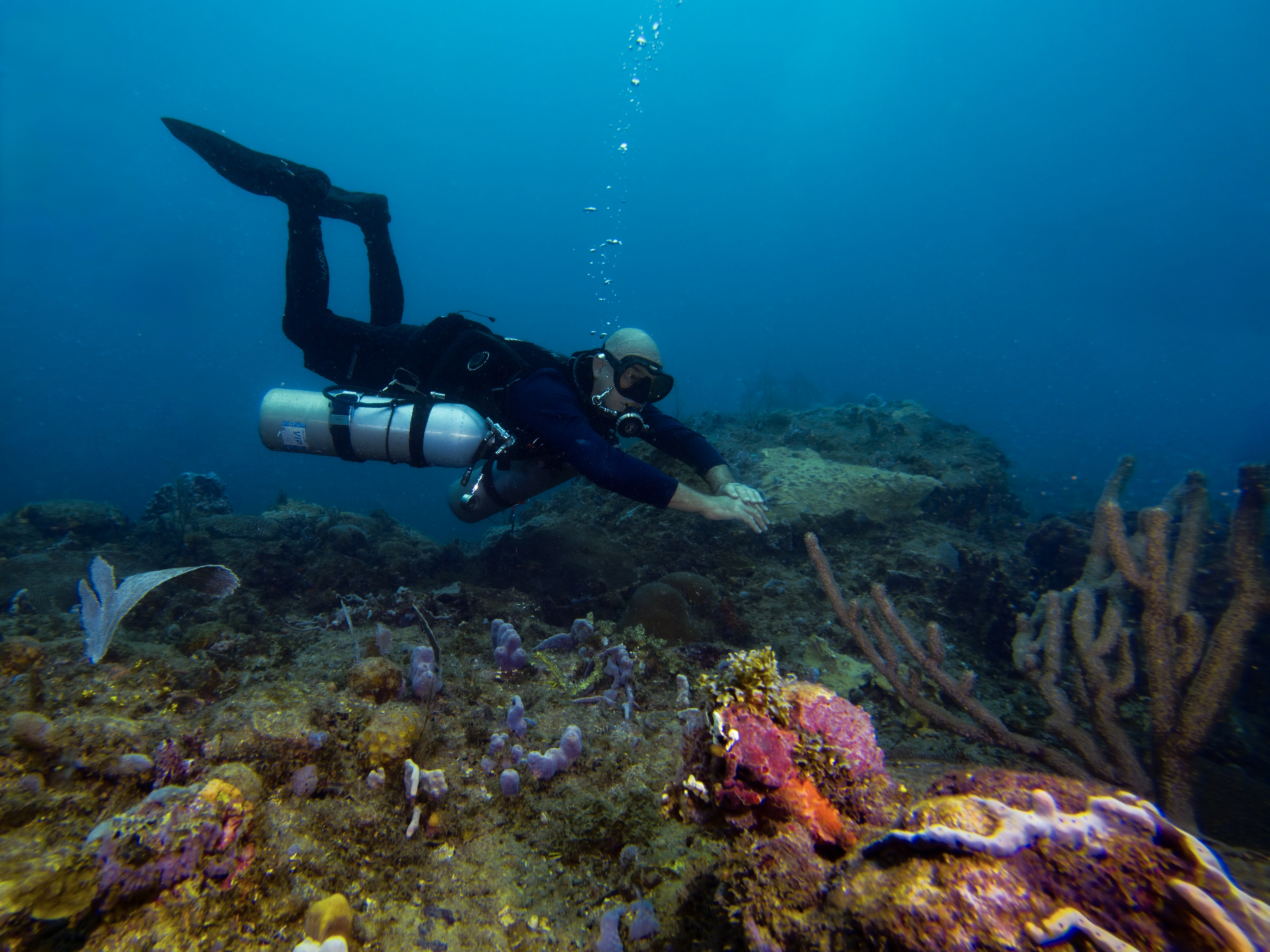 Scuba diver above the reef near Portobelo