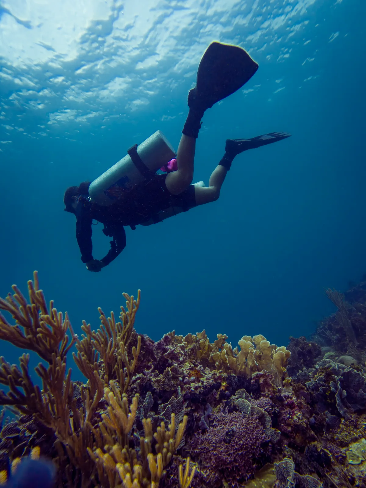 Dive Center